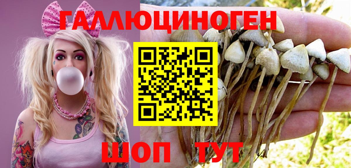Псилоцибиновые грибы Cubensis  где найти   Псилоцибиновые грибы прущие грибы  Грозный  Вход с VPN 