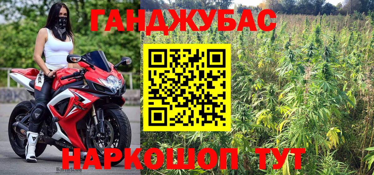 Канабис планчик  Конопля индика  Грозный  Марихуана планчик  Вход с VPN 